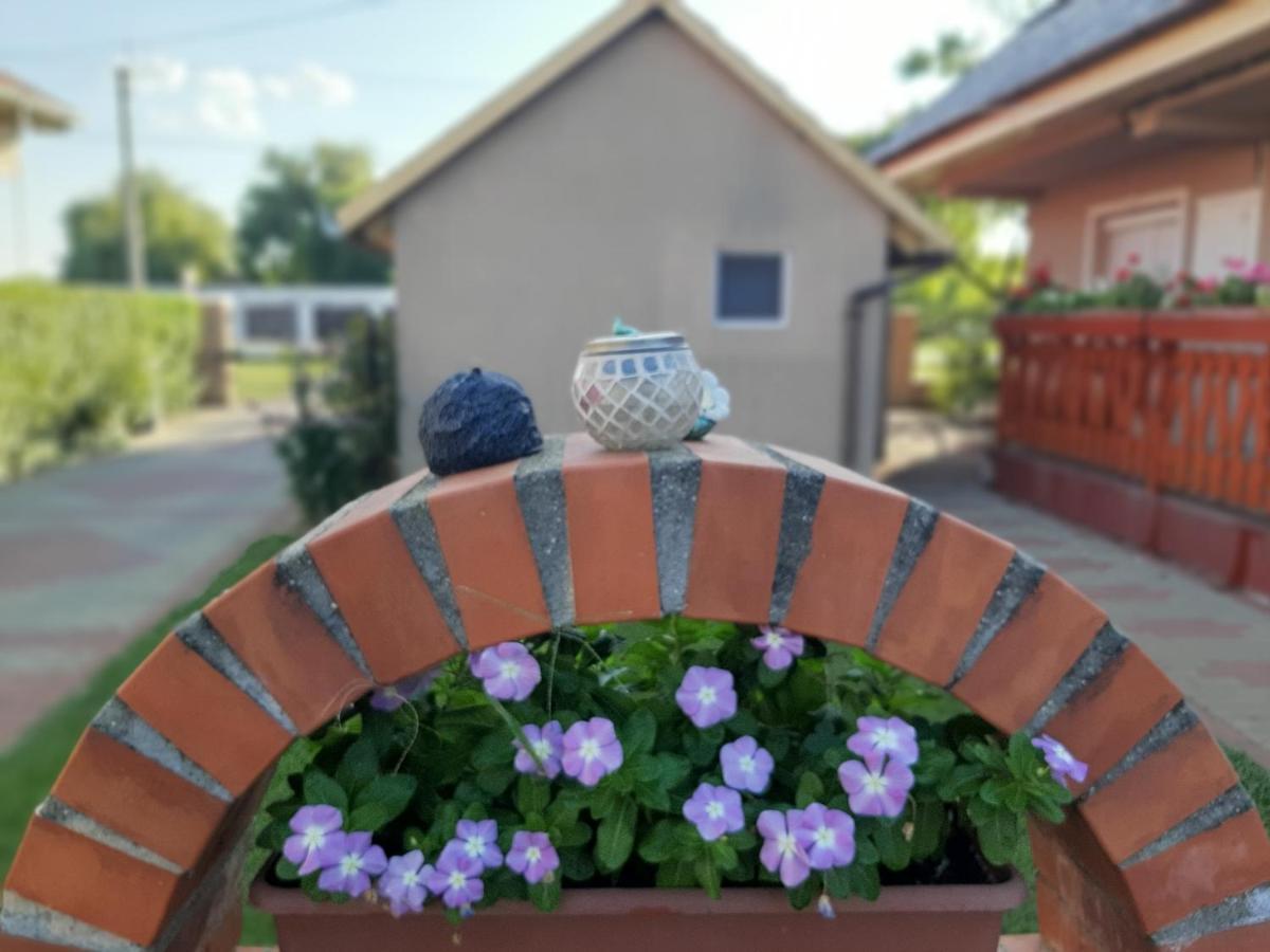 Apartament Matyas Vendeghaz Füzesgyarmat Zewnętrze zdjęcie